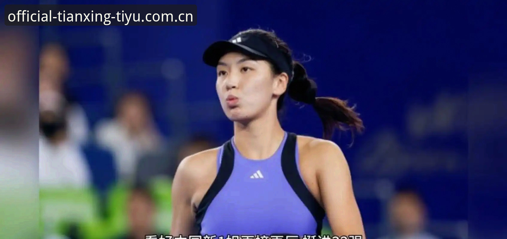 法网女单抽签vs保分压力：郑钦文与王欣瑜的2026红土挑战全面对比